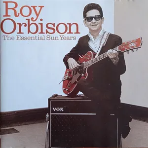 The essential Sun years